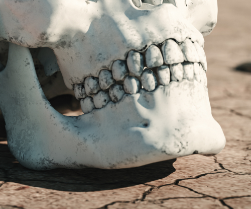 歯槽骨の損傷が ない患者様 